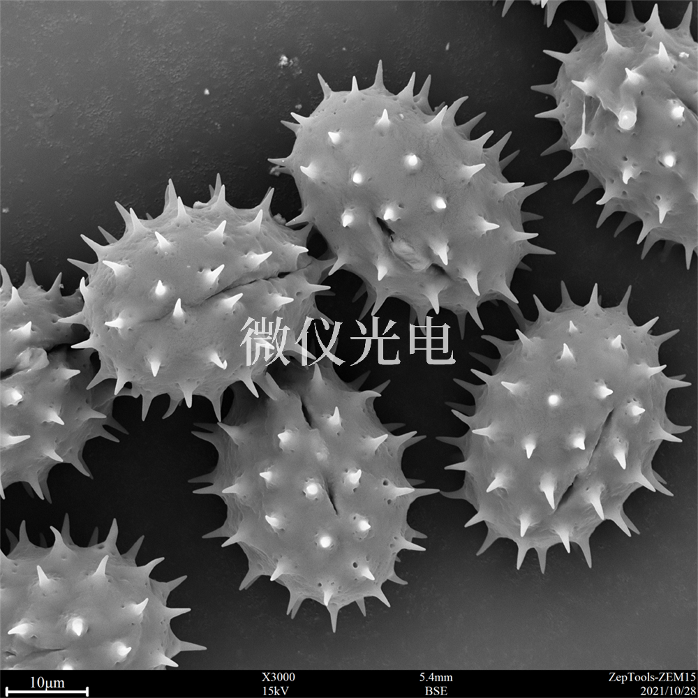 掃描電鏡測樣，要注意什么？